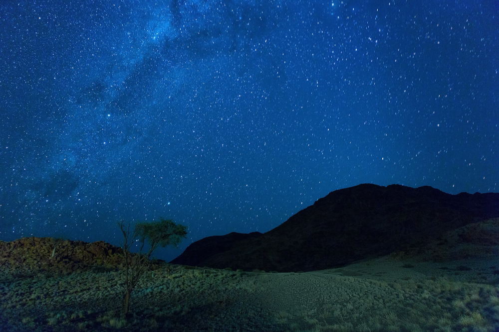 11. Platz Uwe Krause